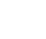 Phoenix Fut